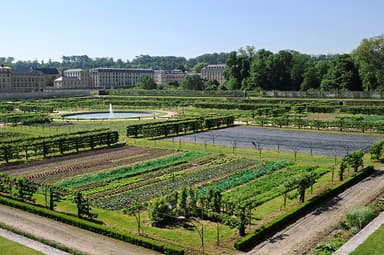 「王の菜園：Le Potage du Roi(ル・ポタジェ・ド・ロワ)」