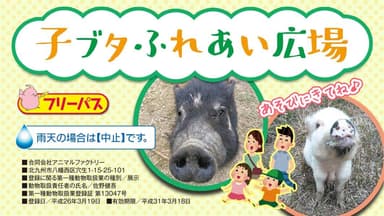 子ブタふれあい広場