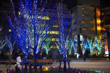 過去のイルミネーション