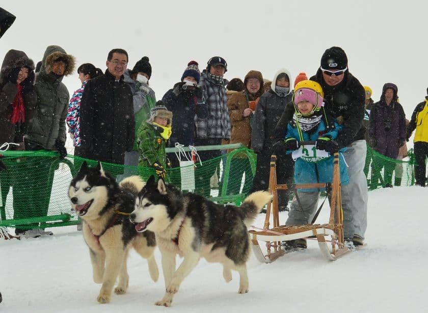 日本最北稚内で犬たちの甲子園開催！！
第36回全国犬ぞり稚内大会を2月23日(土)～24日(日)に開催