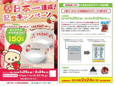 キャンペーンリーフレット