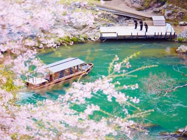 【星のや京都】星のや京都送迎専用船・桜(１)