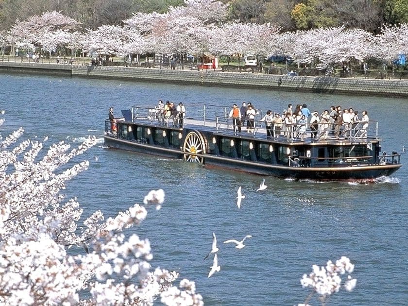 優雅なクルーズ船ひまわりで巡る
「桜スペシャルクルーズ」を運航します。