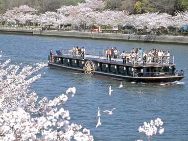 桜スペシャルクルーズ