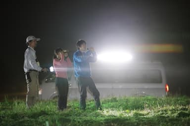 【ピッキオ】ワイルドサファリツアー  ツアーイメージサブカット