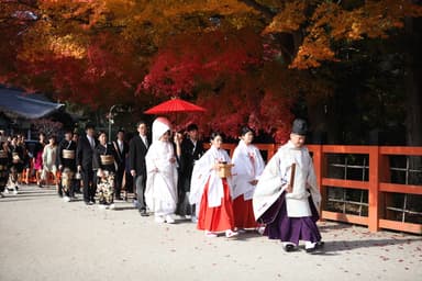 世界遺産・上賀茂神社での挙式