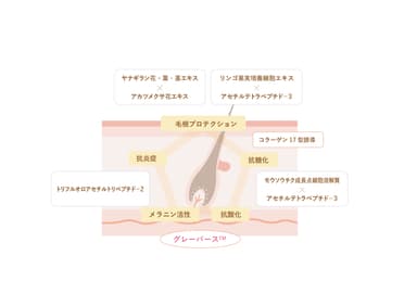 「ブラックリバース処方(TM)」シナジー効果 概念図
