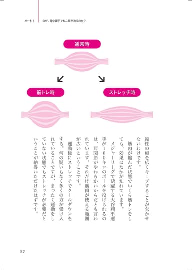 本文4
