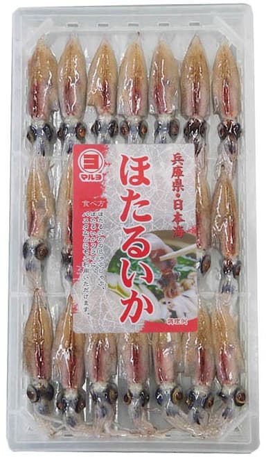 生ほたるいか