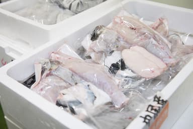 フグ　加工済み