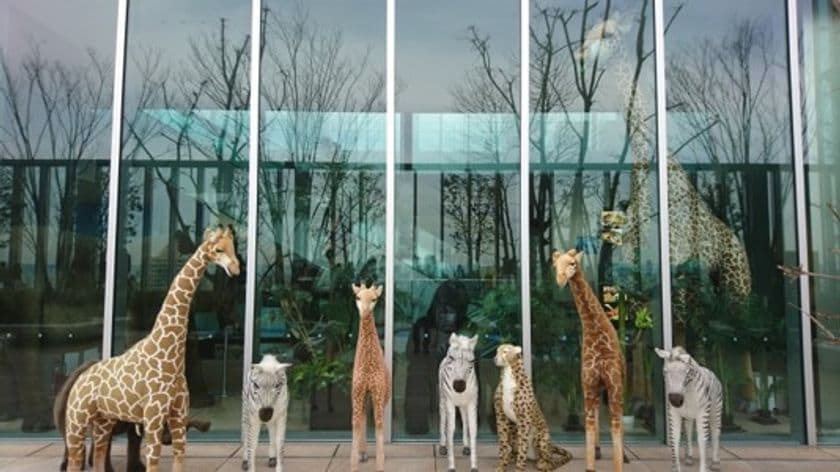 『天王寺動物園アネックス　ハルカＺｏｏ
～あべのハルカスに動物園が出現！～』