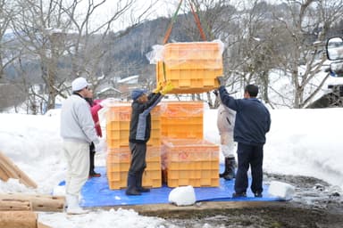 2019年1月15日雪埋め(3)