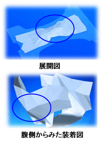 研究の結果