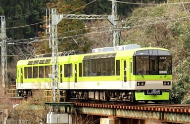 「青もみじきらら」
