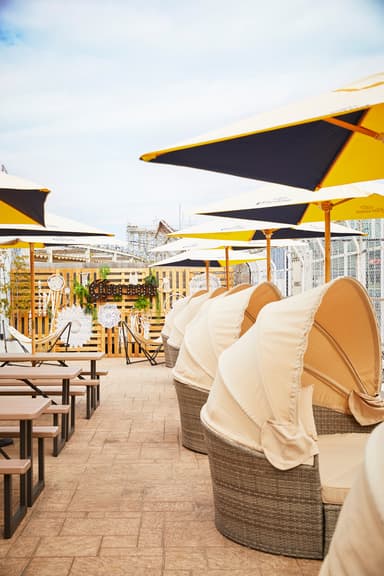 BEER TERRACE