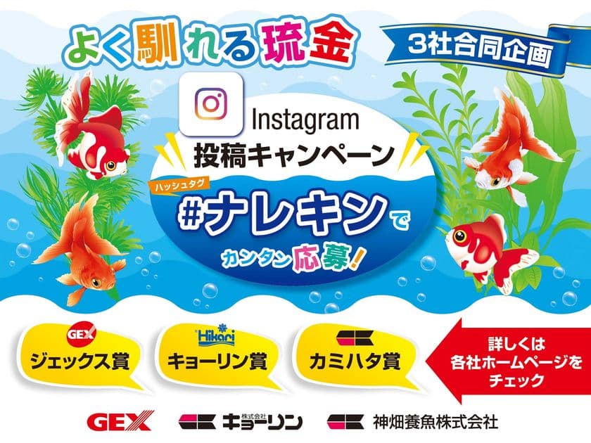 ジェックス・キョーリン・神畑養魚の3社合同企画
「よく馴れる琉金 Instagram投稿キャンペーン」を
8月31日まで実施！