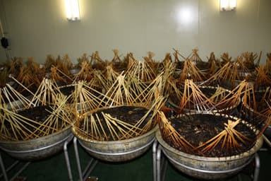 製造工程