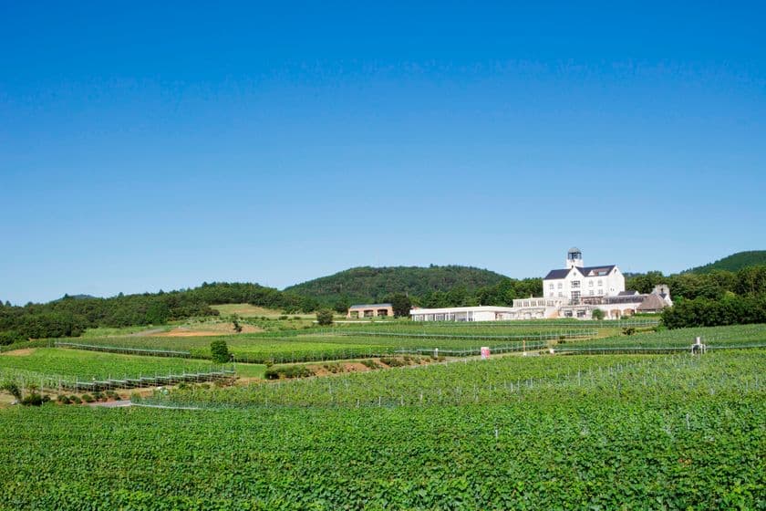 10連休は親子で美味しい楽しい特別な体験を　
中伊豆ワイナリーのＧＷイベント
「Go! Go! Winery 2019」開催！
4／27（土）～5／6（月・祝）　静岡県伊豆市にて