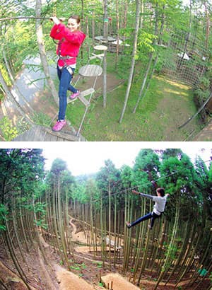 フォレストアドベンチャー・神戸六甲山 イメージ