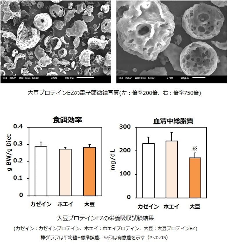池田糖化、水分散性良好な植物性プロテイン粉末を開発
　健康・美容を後押しする『大豆プロテインEZ』を発売