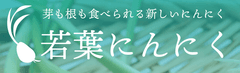 株式会社GEEK
