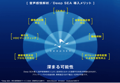 Deep SEA導入メリット