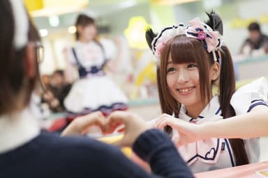 めいどりーみん様