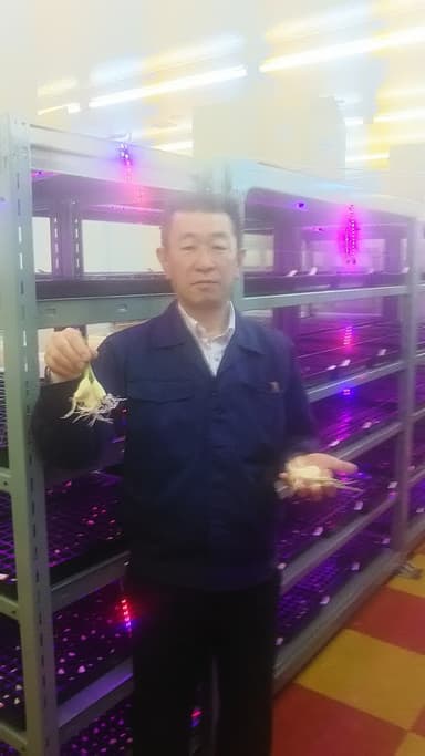 生産者