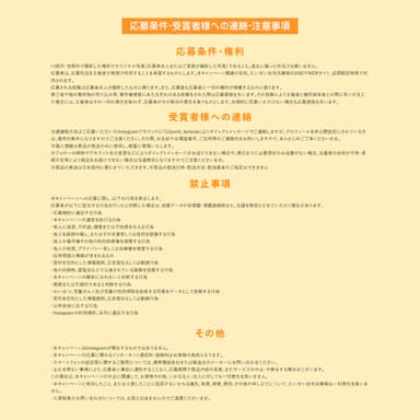 応募条件・注意事項等