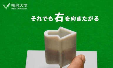 何度矢印を回転しても、右向きに見える錯覚作品（明治大学）