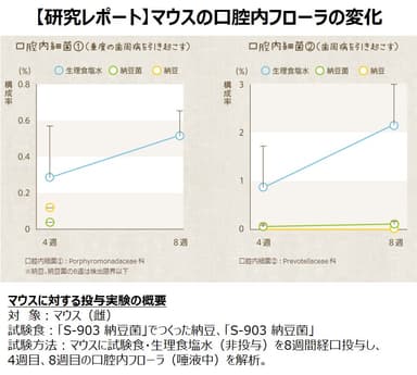 【研究レポート】マウスの口腔内フローラの変化