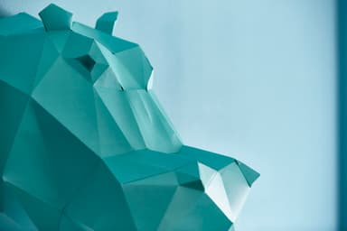カバ　横