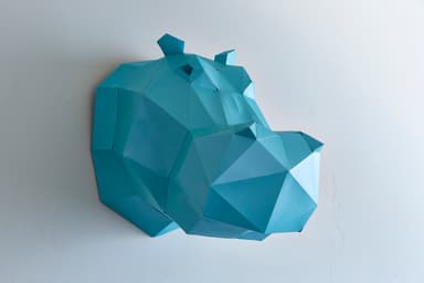 カバ