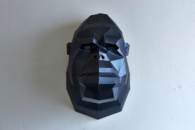 ゴリラ　正面