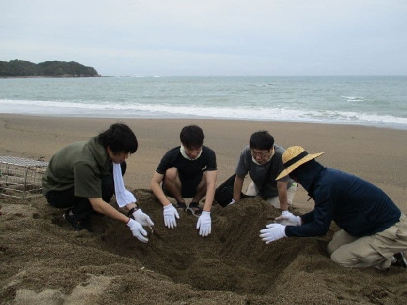 ライオンの生物多様性保全活動への取り組み　
和歌山県みなべ町で、10年目を迎える
「アカウミガメ」の保護活動を実施