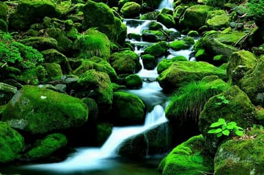 木曽の清流