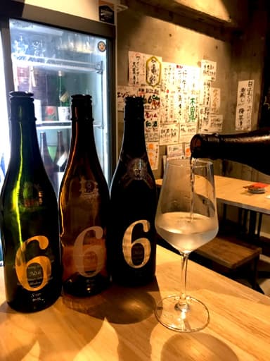 NO.6