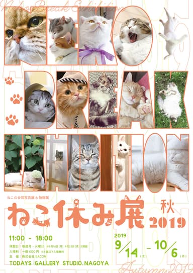 キービジュアル