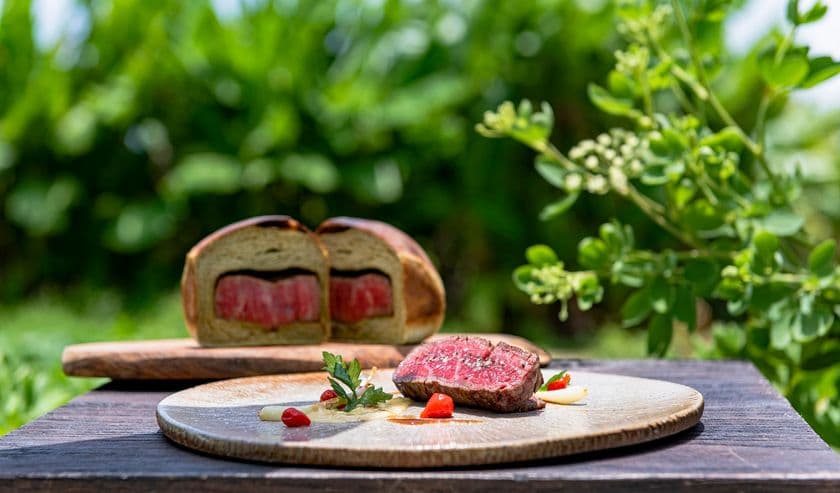 冬限定の料理コンセプト「島テロワール」ディナーコース提供
冬に旬を迎える島の天・地・人が織りなす美食