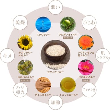 成分イメージ
