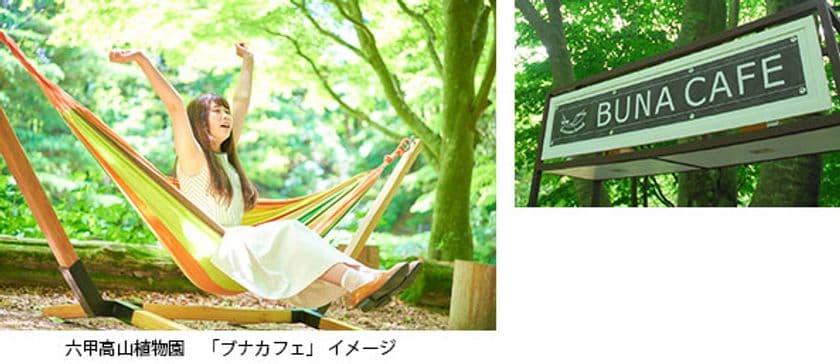 大阪・神戸から約1時間
ー5℃のオアシス 六甲山で夏休み
～夏休みを涼しく楽しく過ごせるイベント盛りだくさん～