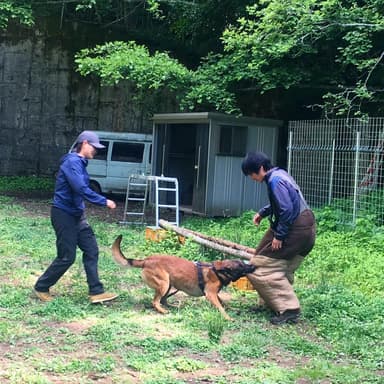 訓練シーン