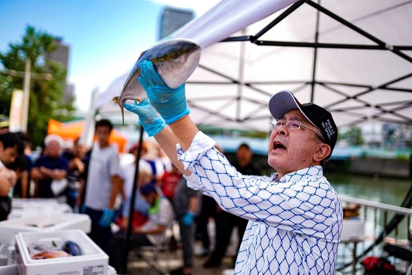 お魚好き集まれ！「見て、体験して、味わえる、食育パーク！」　
第37回「ざこばの朝市」＆「世界のサケ＆サバ博」を9月22日開催