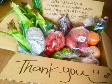 段ボールの内側にメッセージを書いてくださる農家さんもいらっしゃいます。