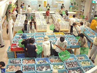 葡萄浪漫館
