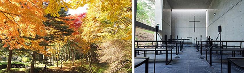 限定公開 安藤忠雄「風の教会」と
六甲高山植物園の紅葉を楽しむバスツアー
10／18(金)～26(土)、11／1(金)～9(土)の金・土・日・祝