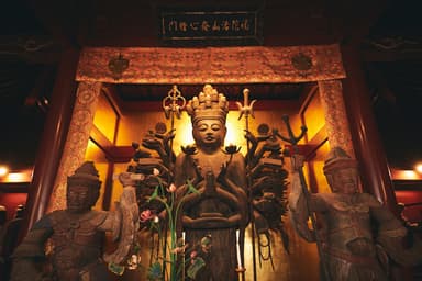 【界 日光】立木観音_千手観音