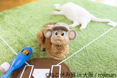 展示作品13
