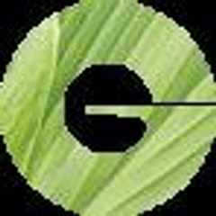 ジボダン社、ベトナムのフレーバー会社、
Golden Frog社の買収を完了