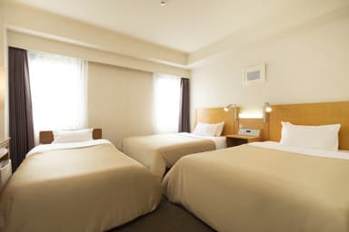 Moderate Twin + Extra bed Room